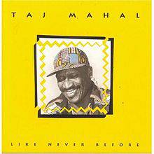 Taj Mahal : Like Never Before